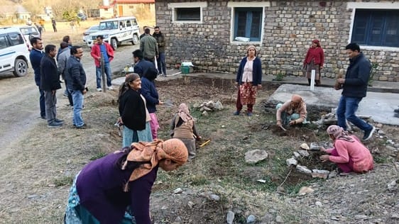 Luhri Hydro Electric Project planted saplings in Koel