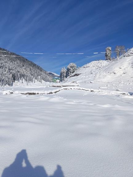 Tourists Enjoy Snowfall in Sarthal