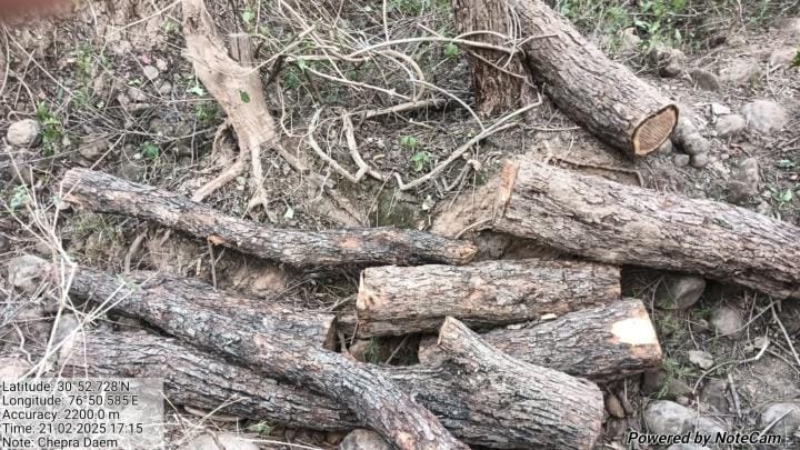 Forest department team attacked with sticks, inspector's hand broken