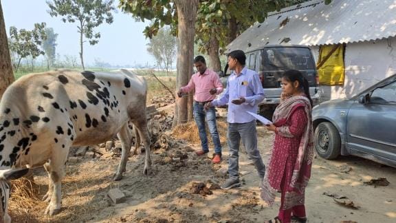 Four cattle freed from pickup, three cattle smugglers arrested