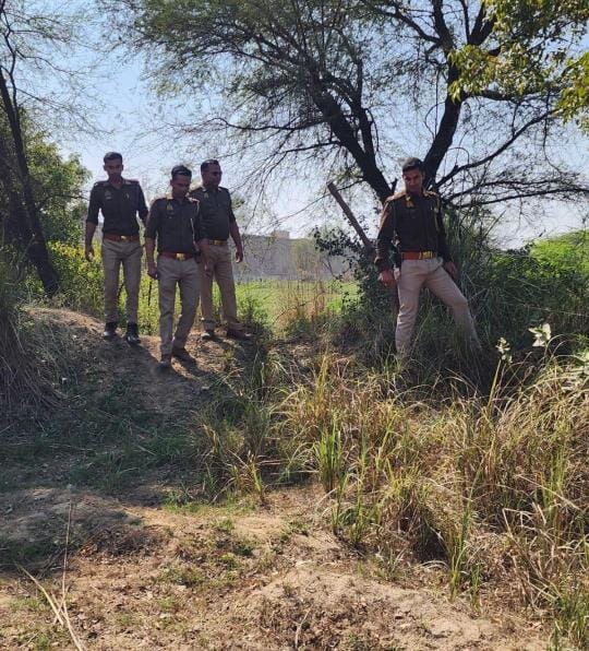 Police combing the forests in search of attackers