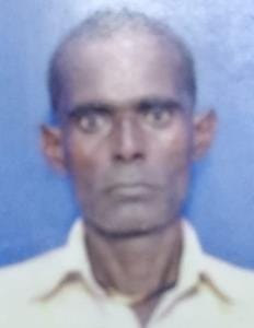 Laborer riding bicycle dies in accident