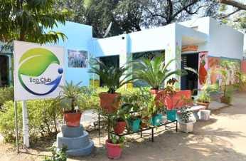 Children of village Surana school are making name for themselves in competitive examinations and sports.