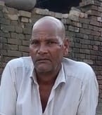 A stray cow killed an old man by piercing his horns in his stomach