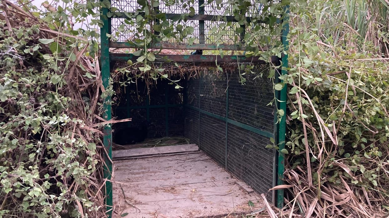 The cage was removed from Dholai and placed near Bishunpur.