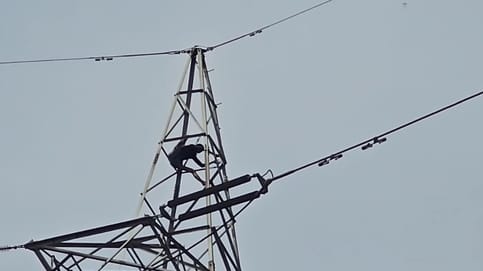 Young man climbed high tension tower, got down after four and a half hours and ran away