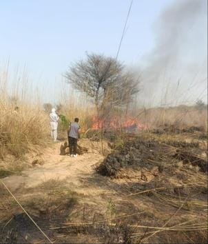 Fire broke out in Totaheri river, fire brigade brought it under control