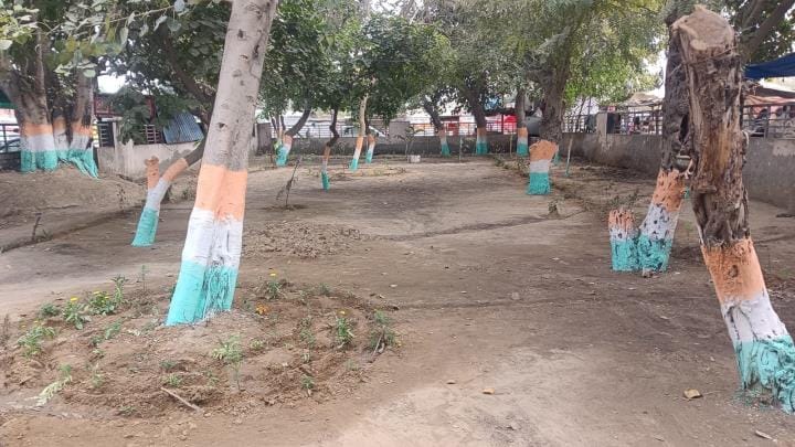 Determined to improve the dilapidated green belt, giving water to plants from buckets