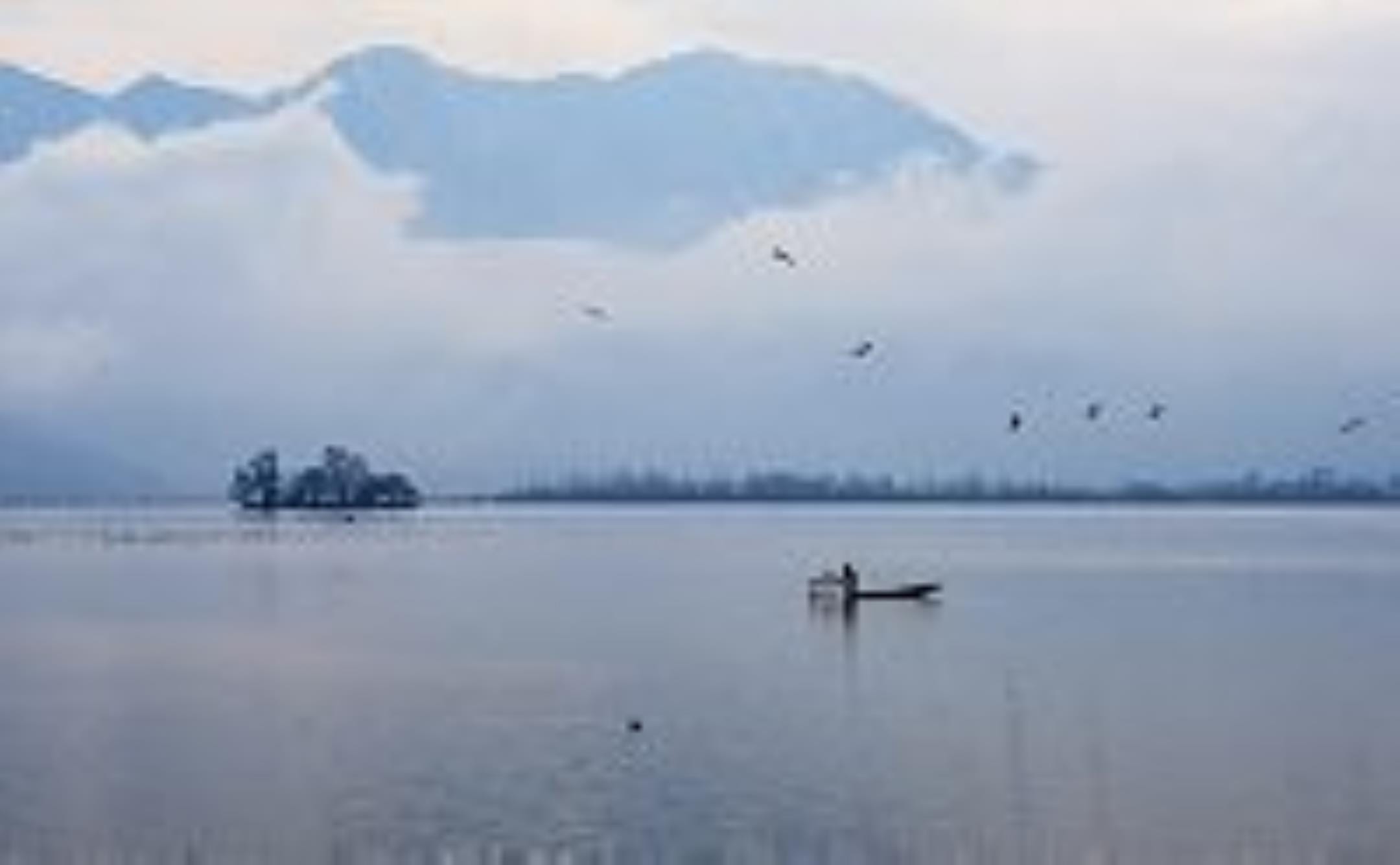 Jammu Kashmir: 30 percent more rain in the last five days has brought life to water bodies