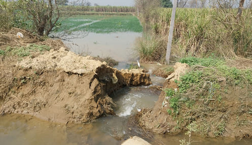 Hundreds of acres of crops submerged due to breaking of the track of Meetli Rajbaha