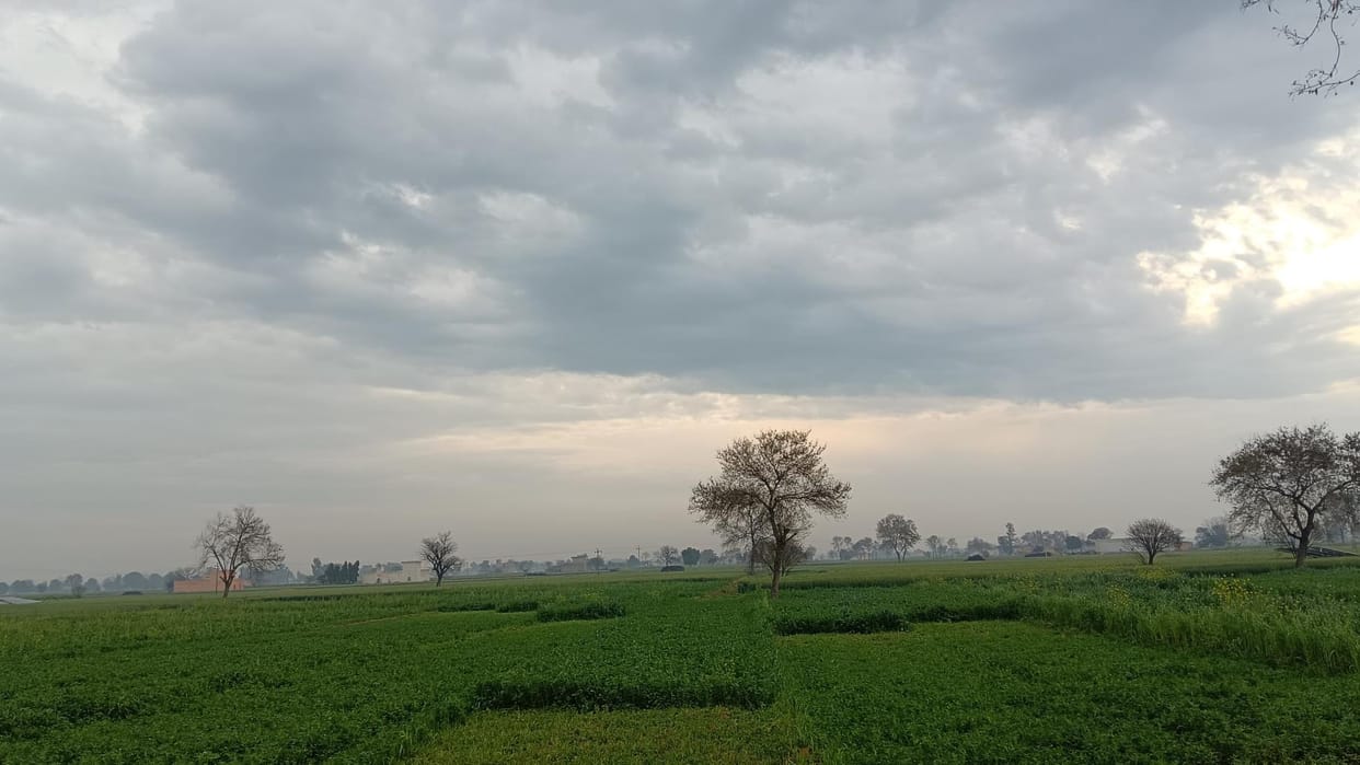 Temperature dropped due to drizzle, farmers got relief