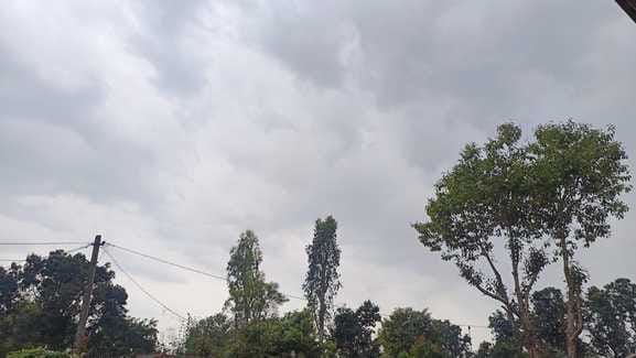 Clouds loom over Bareilly farmers worried about the mood of the weather
