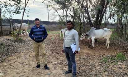 30 buses will be sent from Rewari to Kurukshetra for cattle herders.