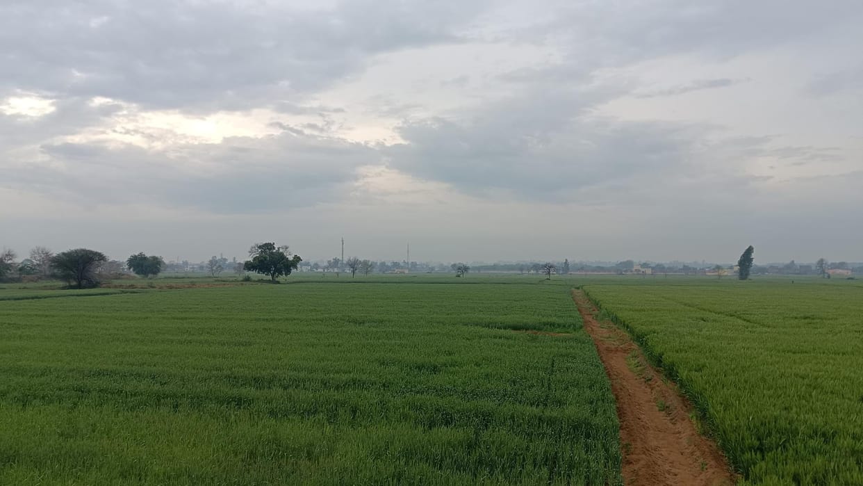 Weather will remain changeable in the district till March 5