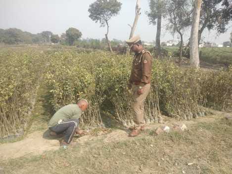 Forest department will provide fruitful plants...city residents will be able to plant them in pots