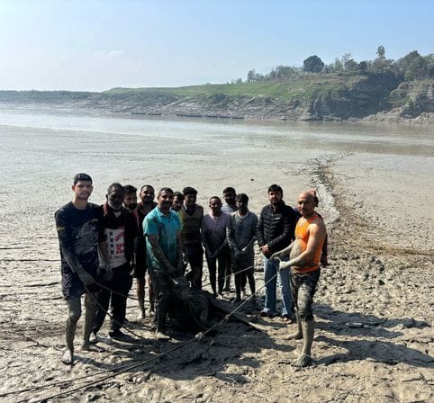 Youth saved Nilgai trapped in the swamp on the lake shore