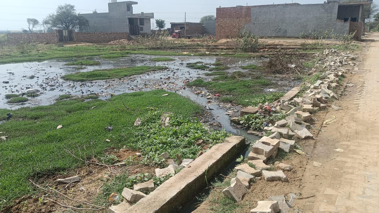 Colony was legalized two years ago, no drainage arrangements