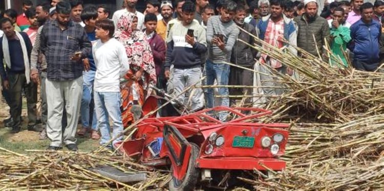 Truck Overturns On E Rickshaw, Uncle And Nephew Die - Sitapur News ...