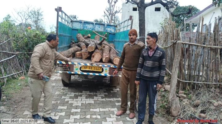 Forest Department Recovered Wood of Kher