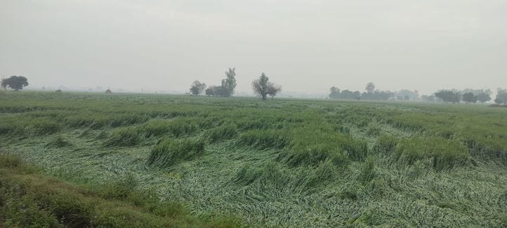 Compensation portal opened to give details of damaged crops
