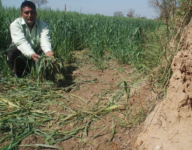 300 crores will be spent on fencing of fields, farmers will sleep peacefully