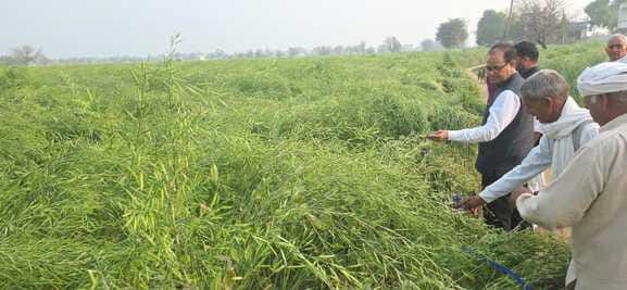 Compensation portal opened, farmers got relief