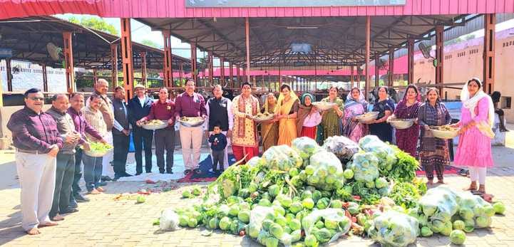 Sawmani set up for cows in cowshed