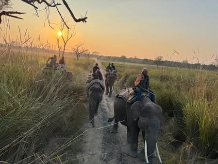 Red alert in Dudhwa on Holi, crackdown on poachers to be tightened