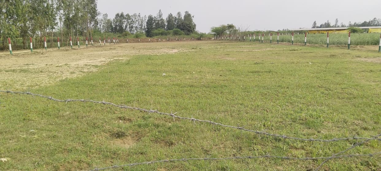 Plants made at a cost of lakhs were eaten up by animals.