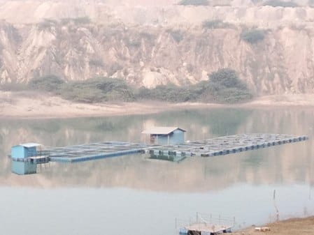 Anuppur News OB soil is being put in pond given for fish farming water level is continuously decreasing