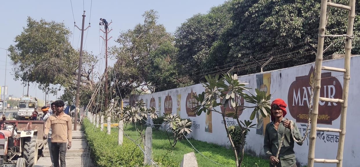 Four poles shifted in Visayakpur, 11 left to be removed