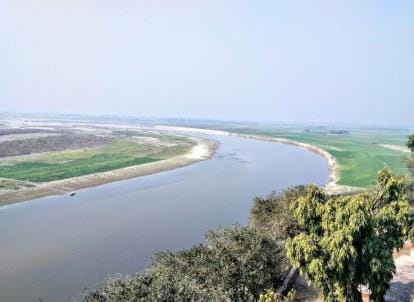 Medicinal plants are disappearing from the banks of Ganga, natural beauty is decreasing