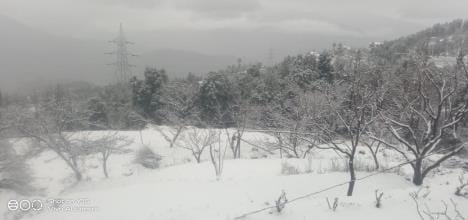 Snowfall in Patnitop, traffic halted due to slippery road in Bhaderwah