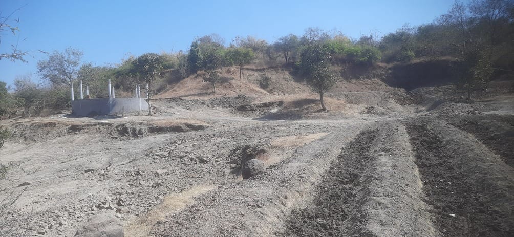 कोनाझिर के पास आकार ले रहा नगर वन