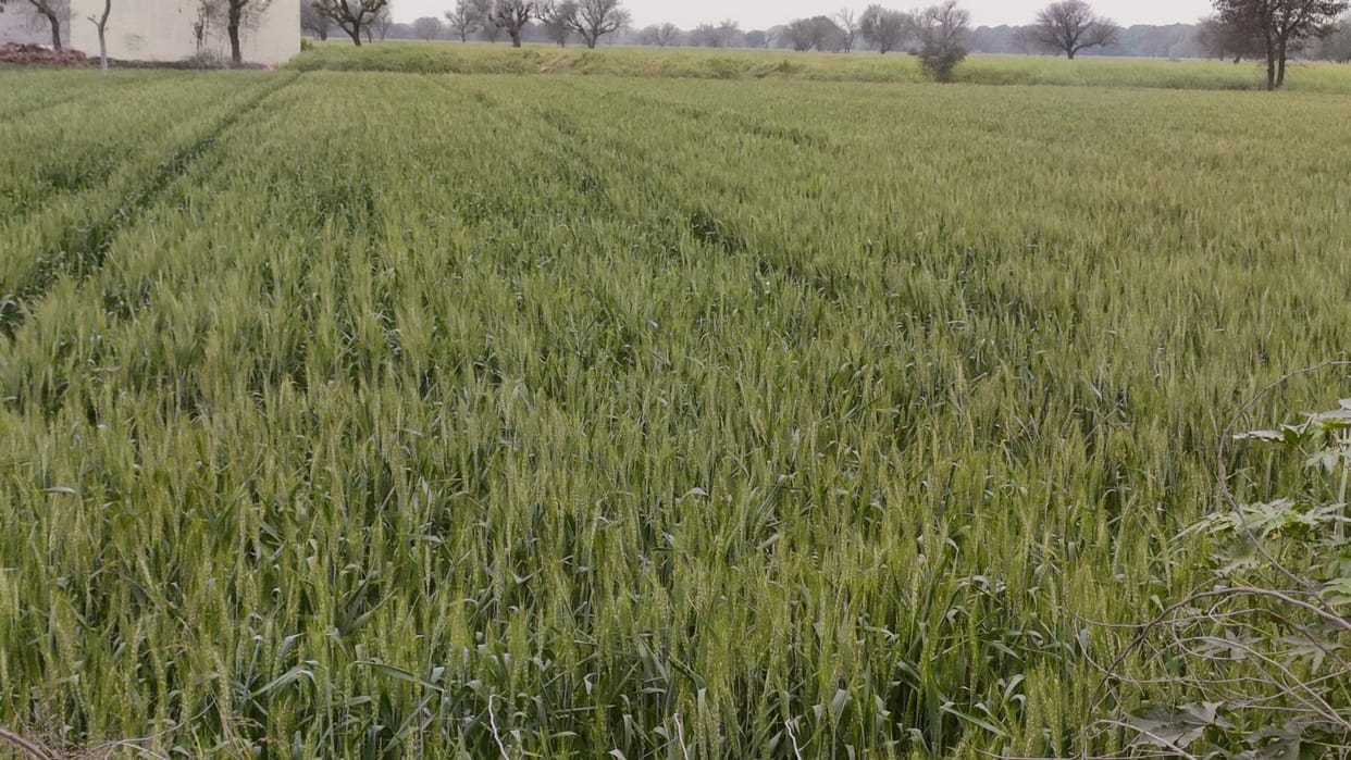 Farmers should inform the electricity corporation to remove the electricity wires passing over the fields