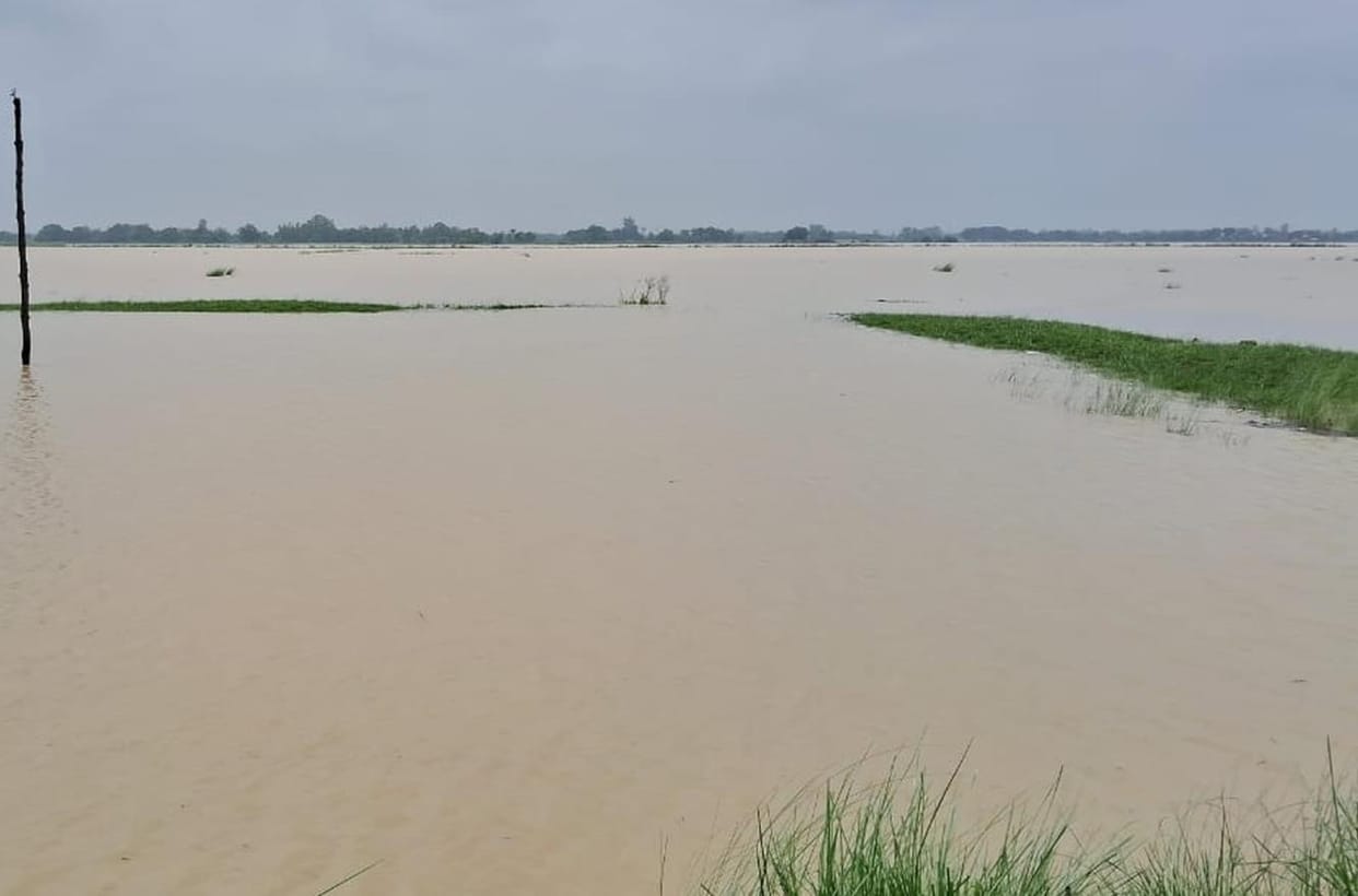 5.33 crore will be spent on the repair of Balrampur-Bhadaria embankment