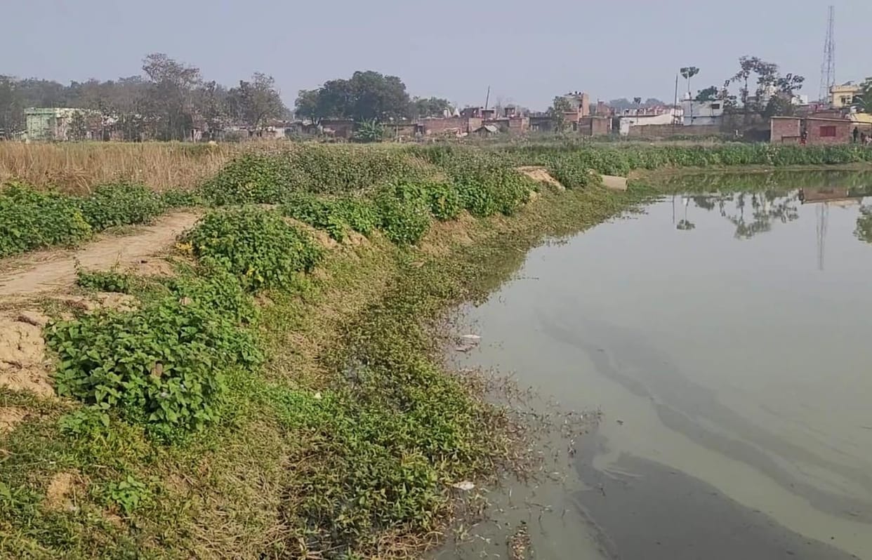 The water filled pond was renovated, FIR will be registered