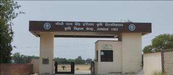 Wheat and mustard damaged in thousands of hectares