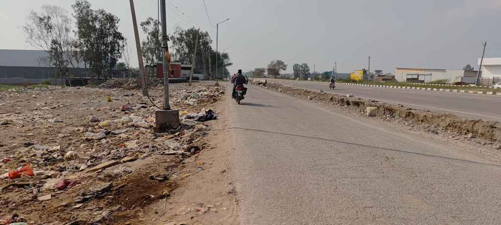 Gaushala on paper, accidents on roadGaushala on paper, accidents on road