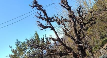 electricity news