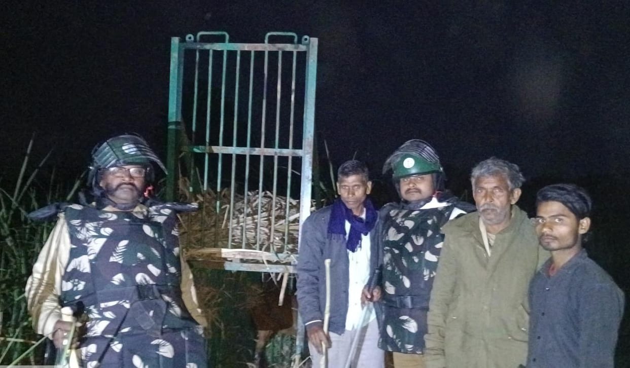 The team is trying to locate the leopard with a special chemical