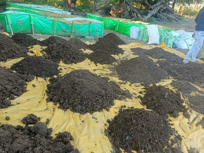 Mp News:रायसेन में नकली खाद से भरा ट्रक जब्त, उर्वरक के सैंपल जांच में ...