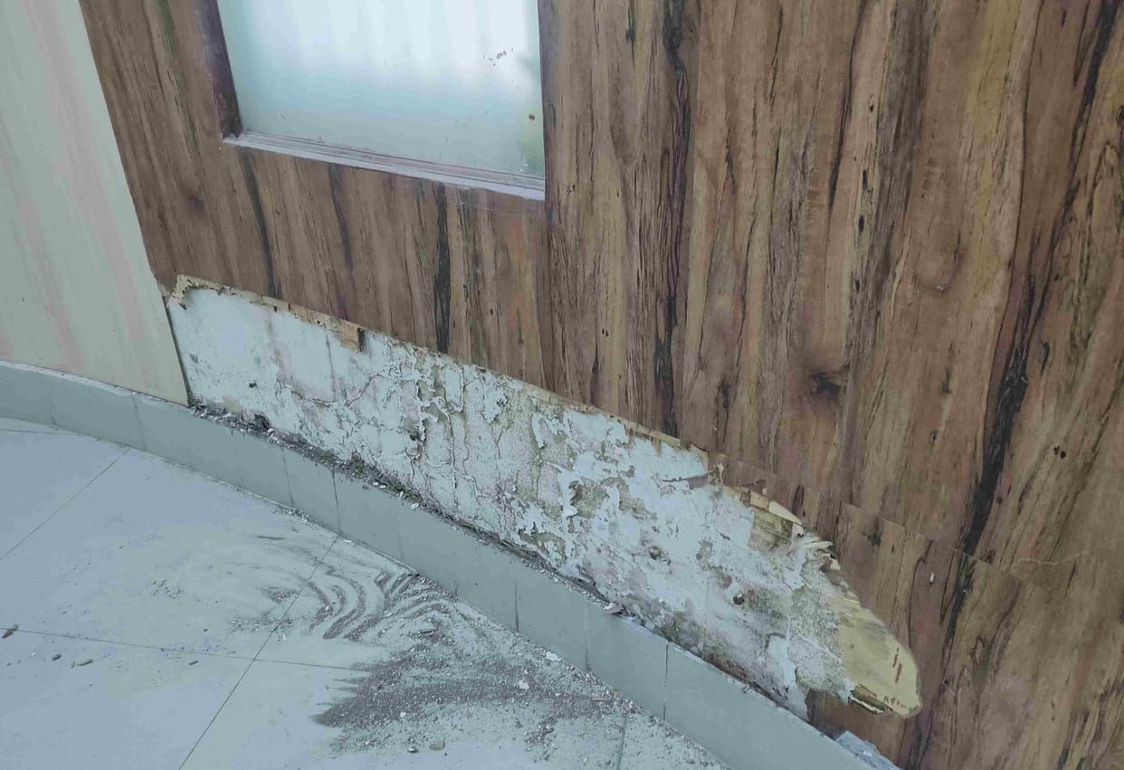 Termites ate away the wooden work on the walls of the mayor's office