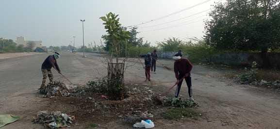 Mustard and wheat will be purchased in 6 mandis, three mandis have been allotted for gram