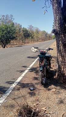 क्षतिग्रस्त लूना और मृत बैल