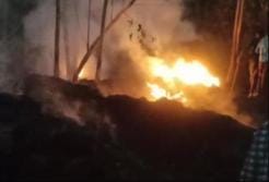 12 animals burnt in cattle shed fire