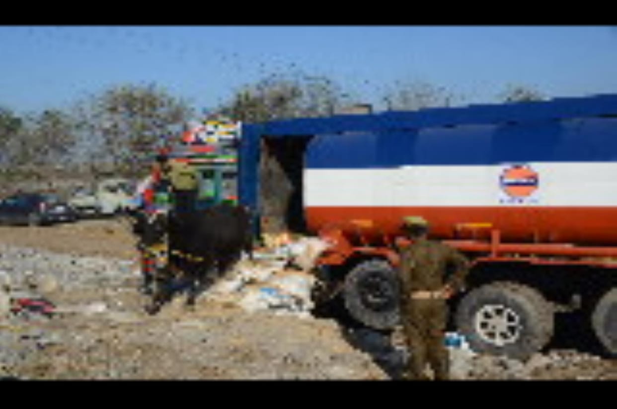 Police Free the Cattle From Petrol Tanker