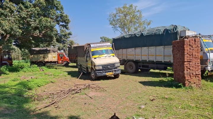 Six Trucks Full of Wood Seized By Police