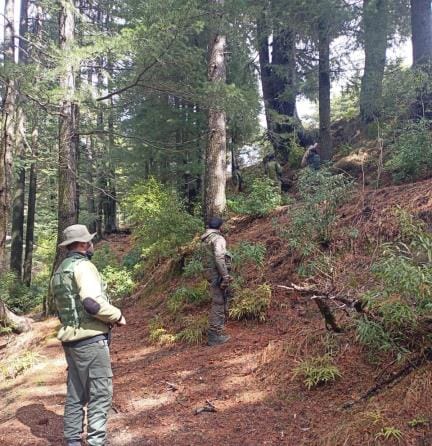 Search Operation Start in Bilawar