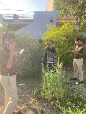 The accused of growing opium among vegetables was arrested